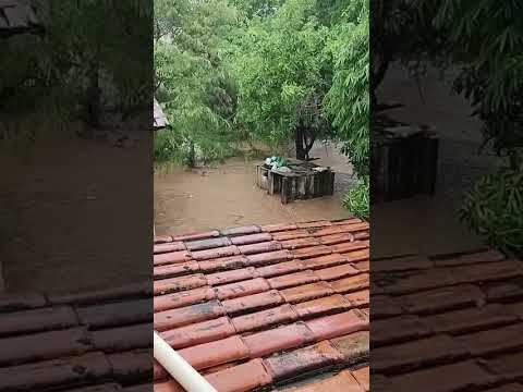 Casa fica alagada após forte chuva da última sexta-feira em João Pinheiro