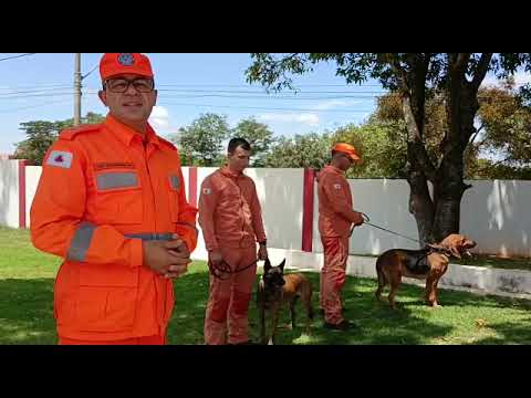 Buscas por Fernando Lubito entram no terceiro dia e recebem apoio de cães farejadores