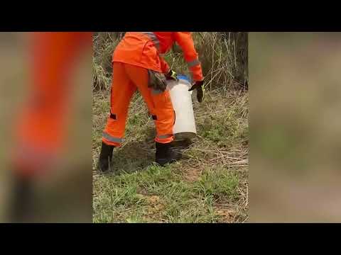 Cobra de mais de um metro encontrada em varanda assusta moradores e é resgatada em João Pinheiro