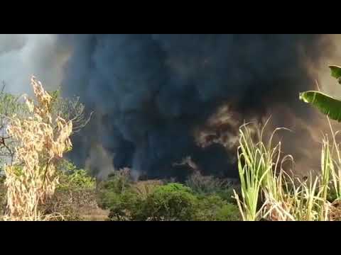 Vídeos mostram incêndio incontrolável em Fruta D'antas e também próximo a Brasilândia