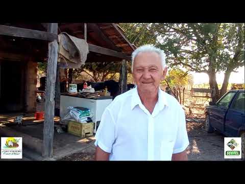 Folia de Reis de Santa Luzia