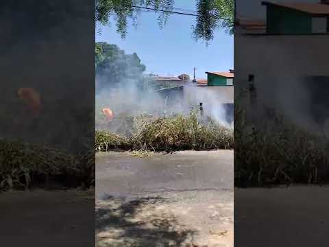 Bombeiros são acionados para apagar fogo em lote e moradora pede consciência da população