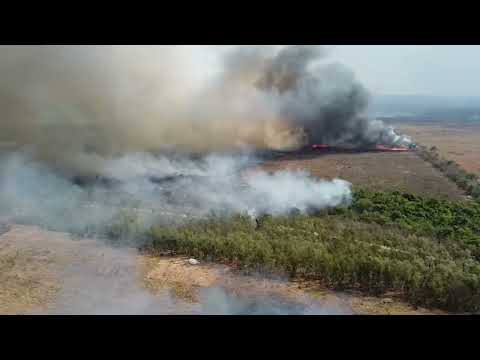 Incêndio florestal em fazenda da Vallourec consome aproximadamente 500 hectares em Brasilândia