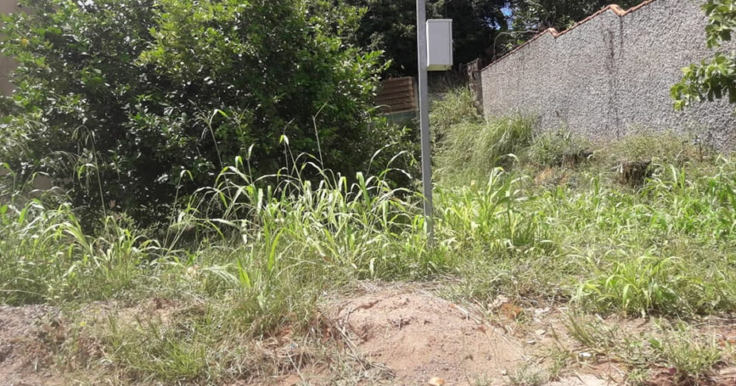 rua tertulino coelho com astolfo lote sujo