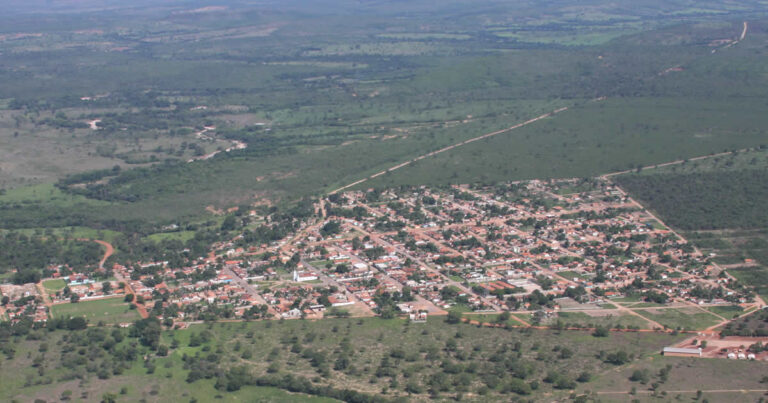 vista area de cana brava