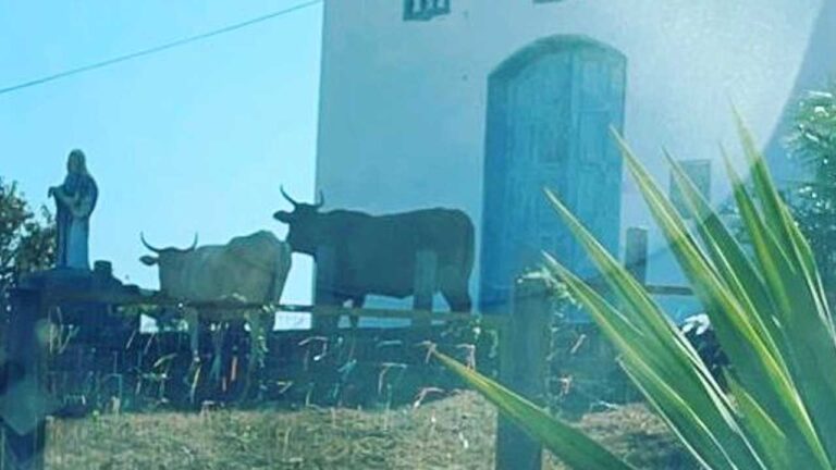 Boi Alegre: cena que faz parte da história de João Pinheiro é registrada na porta de igrejinha no último domingo